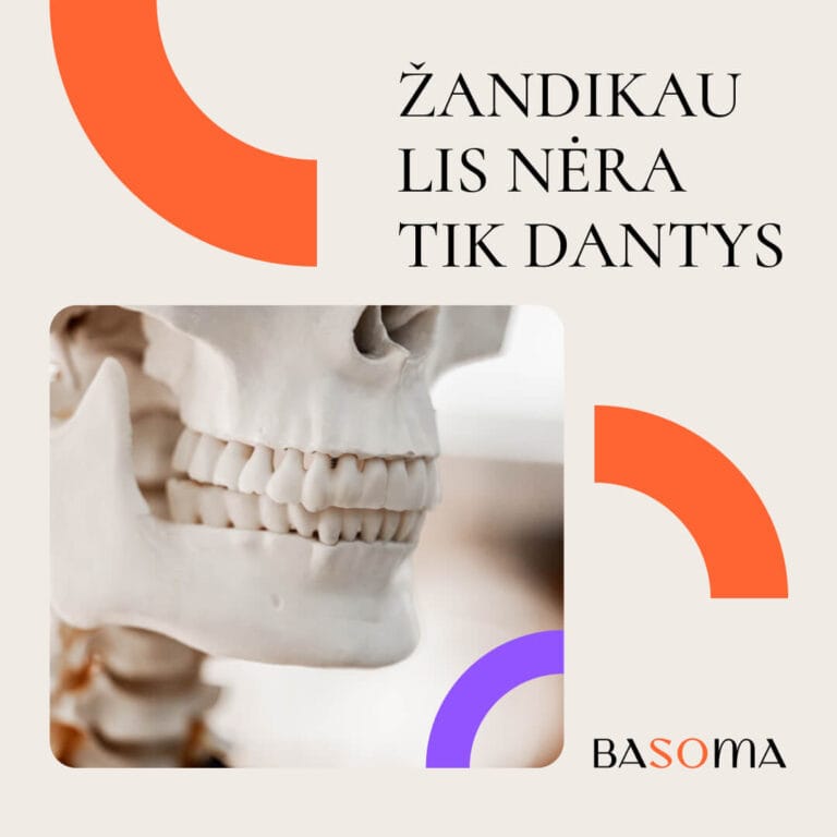 BaSOMA - advertising design
